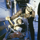 Image for article titled The First Animals In Space